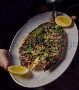 7 Must-Try Dishes from the Best Restaurant Near Sherway Gardens Branzino plated